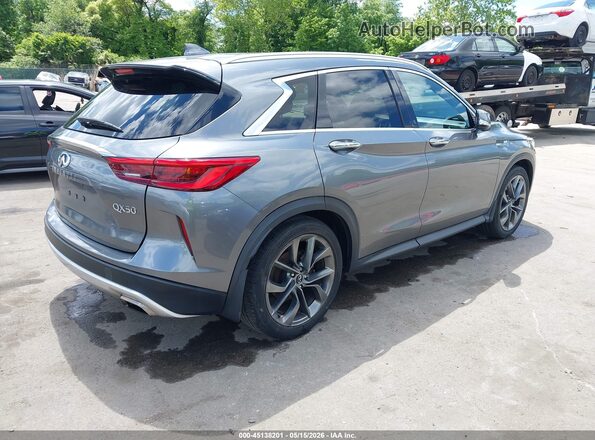 3PCAJ5M30KF123465 2019 INFINITI QX50 Gray Հետևի աջ