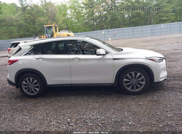 3PCAJ5M33KF144228 2019 INFINITI QX50 Белый Вид задней части салона