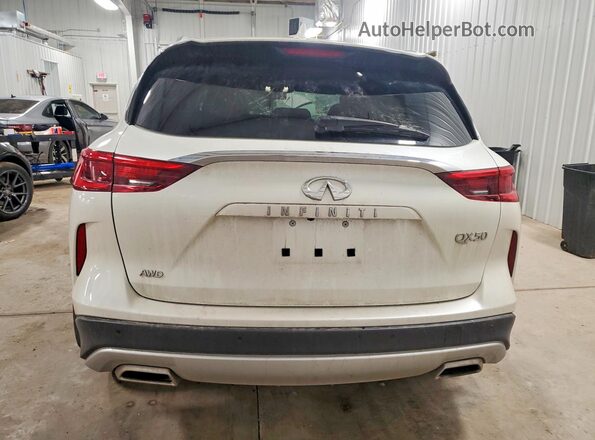 3PCAJ5M35LF111281 2020 INFINITI QX50 Белый Вид сзади