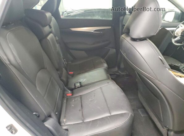 3PCAJ5M35LF111281 2020 INFINITI QX50 Белый Вид задней части салона