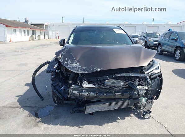 3PCAJ5M38KF109913 2019 INFINITI QX50 Brown 