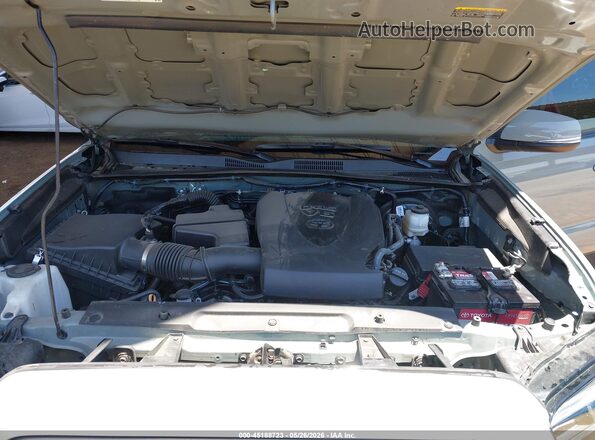 3TMAZ5CN4PM212065 2023 TOYOTA TACOMA Gray Widok z tyłu
