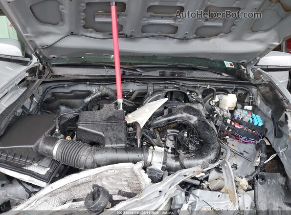 3TMBZ5DNXLM026818 2020 TOYOTA TACOMA Gray უკანა ხედი