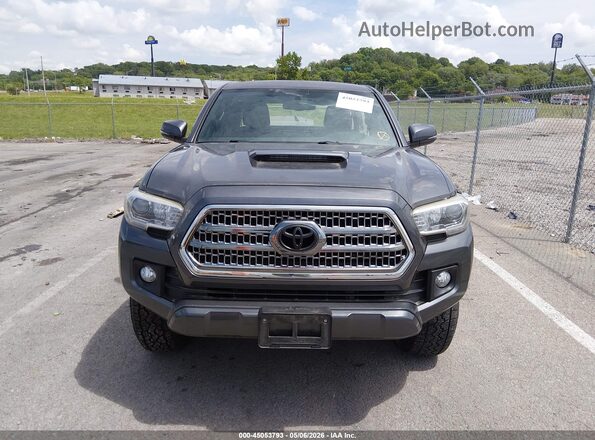 3TMCZ5AN0HM044129 2017 TOYOTA TACOMA Gray Widok wnętrza z tyłu