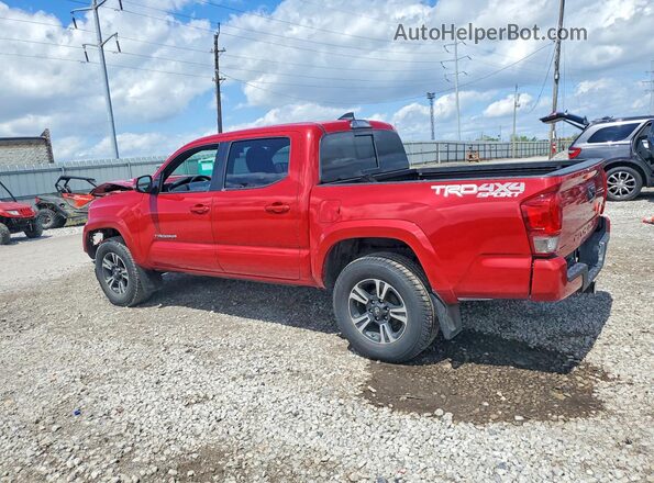 3TMCZ5AN0HM107763 2017 TOYOTA TACOMA Red Հետևի ձախ