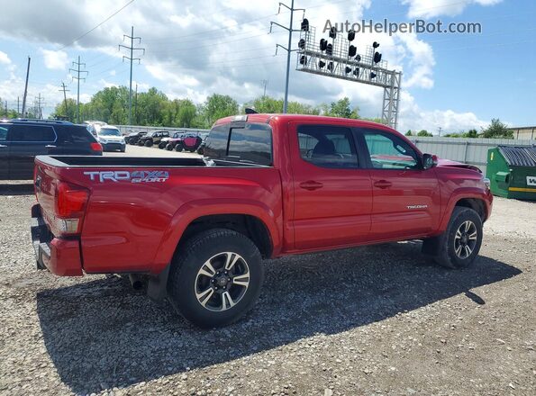 3TMCZ5AN0HM107763 2017 TOYOTA TACOMA Red Հետևի աջ