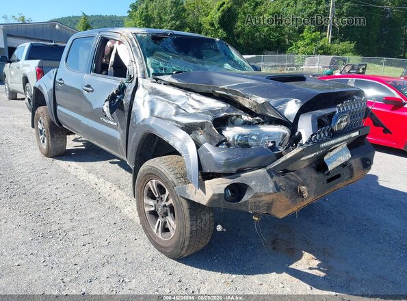 3TMCZ5AN0KM258304 2019 TOYOTA TACOMA Gray 