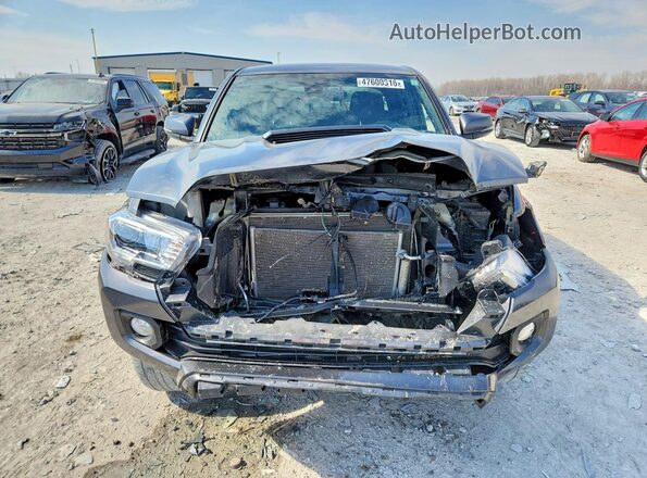 3TMCZ5AN0PM556598 2023 TOYOTA TACOMA Gray 