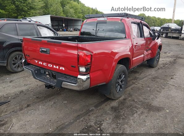 3TMCZ5AN2LM369535 2020 TOYOTA TACOMA Red Հետևի աջ