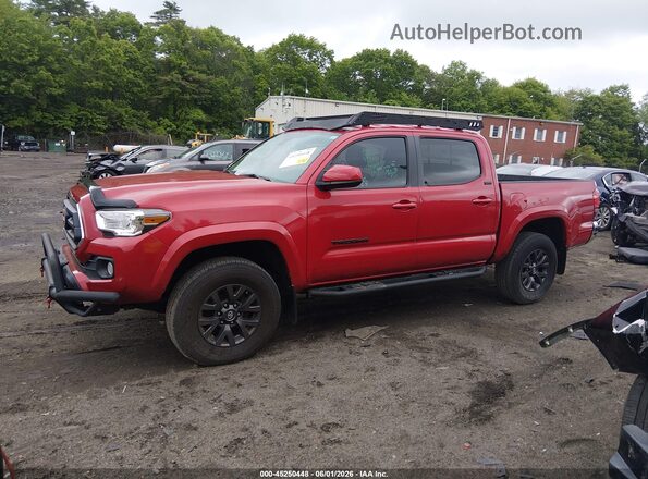 3TMCZ5AN2LM369535 2020 TOYOTA TACOMA Red Սալոնի հետևի տեսք