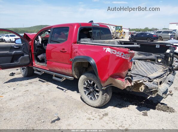 3TMCZ5AN4LM309904 2020 TOYOTA TACOMA Red Հետևի ձախ