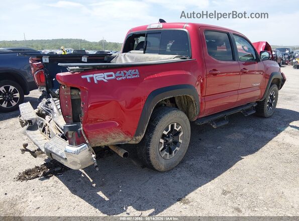 3TMCZ5AN4LM309904 2020 TOYOTA TACOMA Red Հետևի աջ