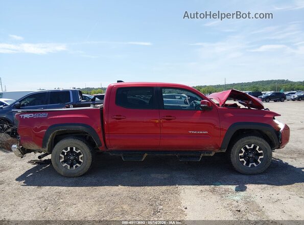 3TMCZ5AN4LM309904 2020 TOYOTA TACOMA Red Սալոնի հետևի տեսք