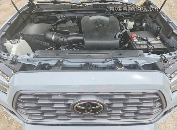 3TMCZ5AN4LM362733 2020 TOYOTA TACOMA Серый Вид задней части салона