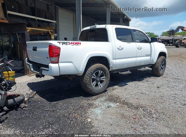 3TMCZ5AN7HM045455 2017 TOYOTA TACOMA White Tył prawy