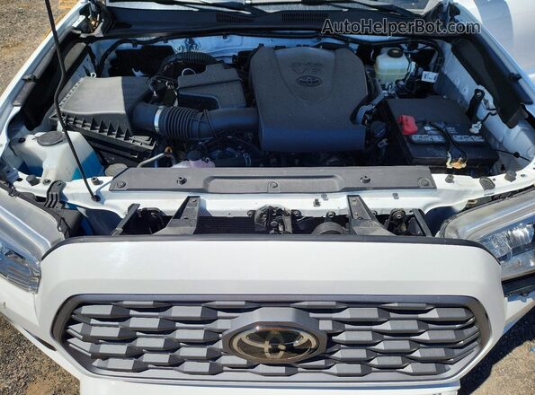3TMCZ5AN7LM342332 2020 TOYOTA TACOMA White Вид задньої частини салону