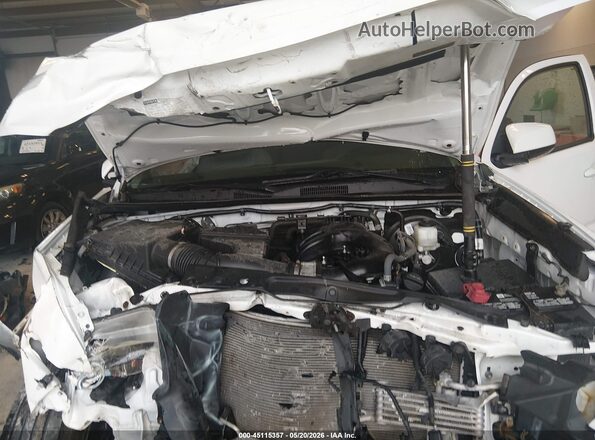 3TMCZ5AN8LM329153 2020 TOYOTA TACOMA White Հետևի տեսք
