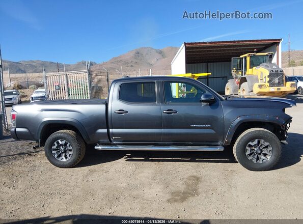 3TMDZ5BN0MM102169 2021 TOYOTA TACOMA Серый Панорамный вид салона 360°