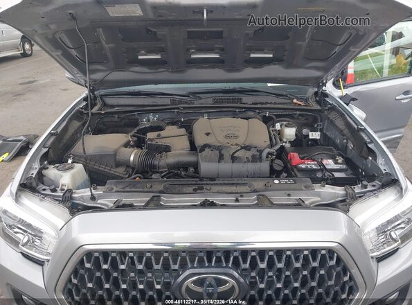 3TMDZ5BN2KM059869 2019 TOYOTA TACOMA Серебряный Вид сзади