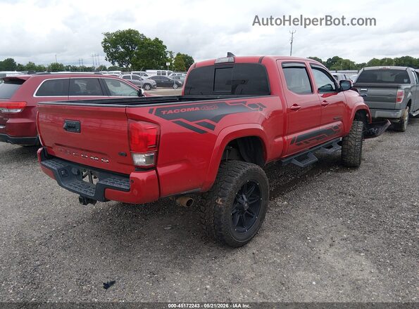 3TMDZ5BN4HM014246 2017 TOYOTA TACOMA Red Հետևի աջ