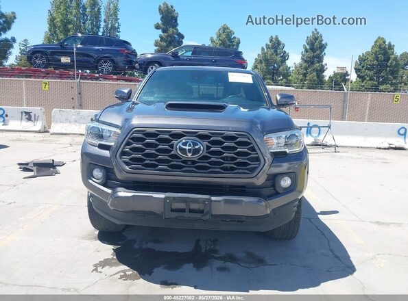 3TMDZ5BN5PM145474 2023 TOYOTA TACOMA Gray Vista interior trasera