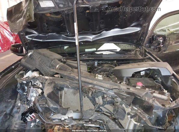 3TMGZ5AN7PM628110 2023 TOYOTA TACOMA Gray Widok z tyłu