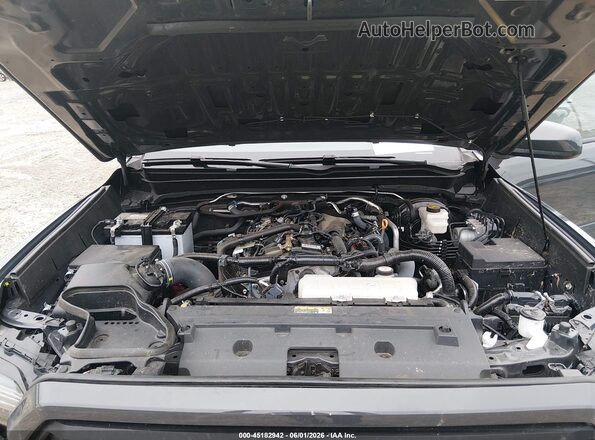 3TMKB5FN0RM008421 2024 TOYOTA TACOMA Black Widok z tyłu