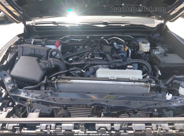 3TMKB5FN5SM049858 2025 TOYOTA TACOMA Серый 