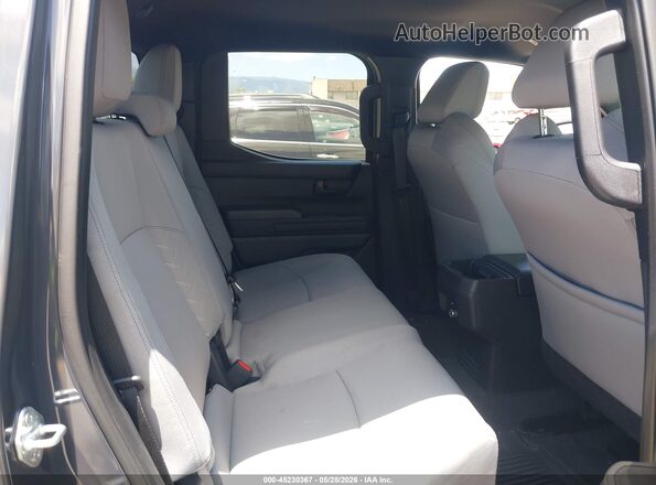 3TMKB5FN5SM049858 2025 TOYOTA TACOMA Серый 