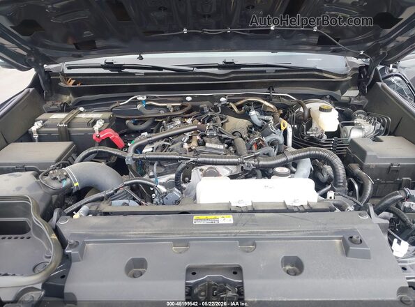 3TMLB5JN0RM053290 2024 TOYOTA TACOMA Gray Вид ззаду
