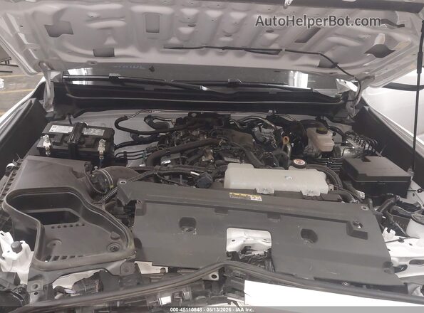 3TMLB5JN3RM038346 2024 TOYOTA TACOMA Белый Вид сзади