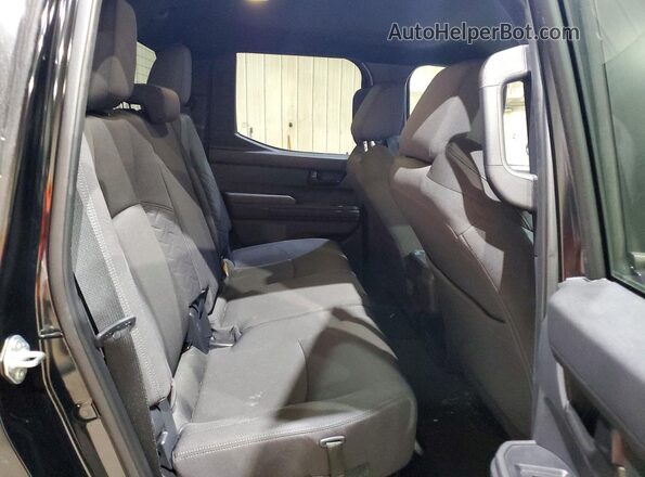 3TMLB5JN3RM062775 2024 TOYOTA TACOMA Черный Вид задних сидений