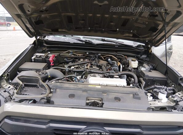 3TMLB5JN3SM149341 2025 TOYOTA TACOMA Зеленый Вид сзади