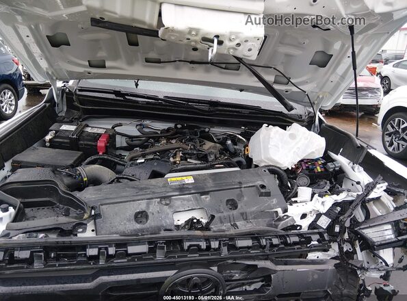 3TMLB5JN4TM209614 2026 TOYOTA TACOMA White Widok z tyłu