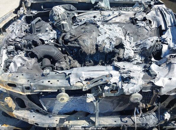 3TMLB5JN5RM067444 2024 TOYOTA TACOMA Черный Вид сзади