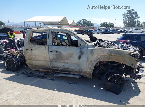 3TMLB5JN5RM067444 2024 TOYOTA TACOMA Черный Вид щитка приборов