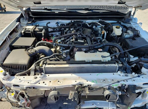 3TMLB5JN6RM002084 2024 TOYOTA TACOMA Белый 