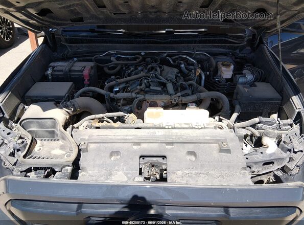 3TMLB5JN6RM044982 2024 TOYOTA TACOMA Серый Вид сзади
