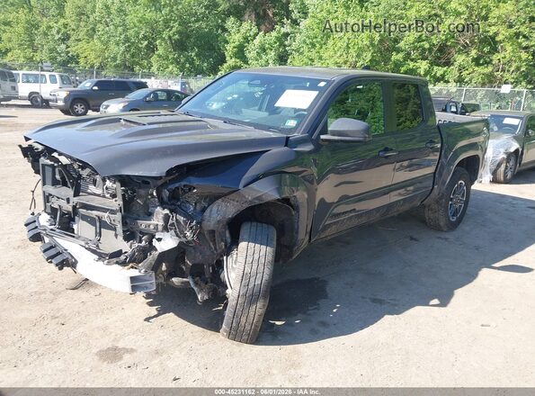 3TMLB5JN7RM072855 2024 TOYOTA TACOMA Gray Передня ліва чверть