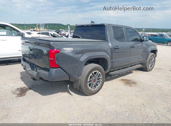 3TMLB5JN7RM084665 2024 TOYOTA TACOMA Gray Tył prawy