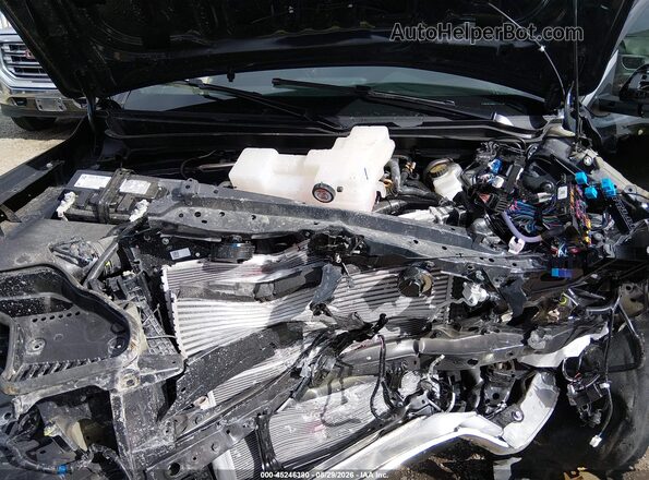 3TMLB5JN7TM217044 2026 TOYOTA TACOMA Gray Вид ззаду