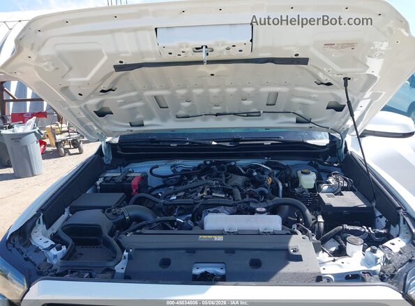 3TMLB5JN7TM246401 2026 TOYOTA TACOMA Белый Вид сзади