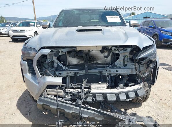 3TMLB5JN9RM040957 2024 TOYOTA TACOMA Silver 