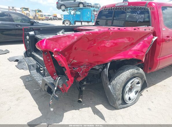 3TYAX5GN4PT090425 2023 TOYOTA TACOMA Красный 