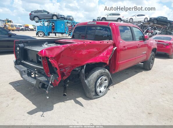 3TYAX5GN4PT090425 2023 TOYOTA TACOMA Красный 