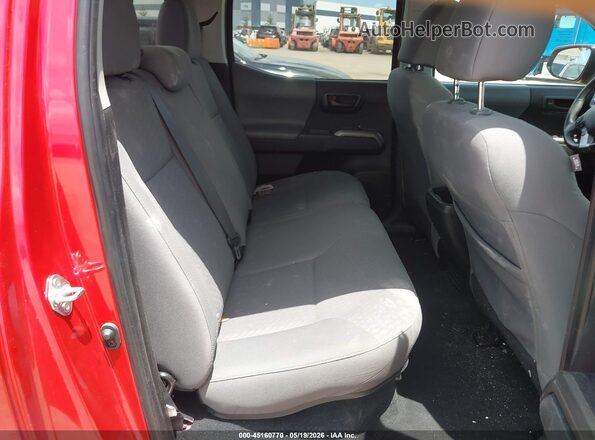 3TYAX5GN4PT090425 2023 TOYOTA TACOMA Красный 