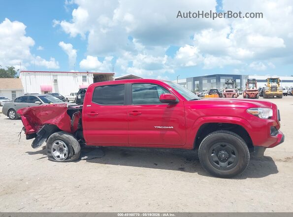3TYAX5GN4PT090425 2023 TOYOTA TACOMA Красный 