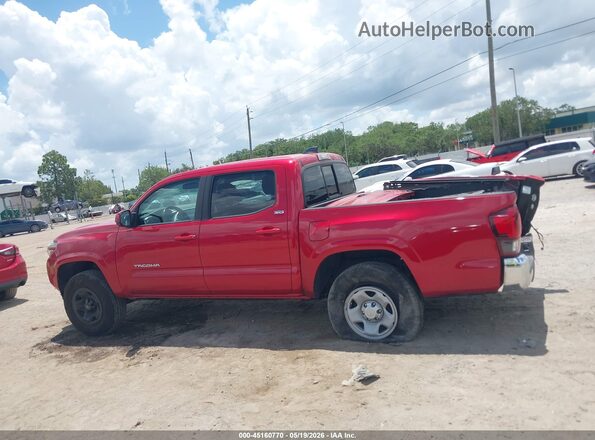 3TYAX5GN4PT090425 2023 TOYOTA TACOMA Красный 