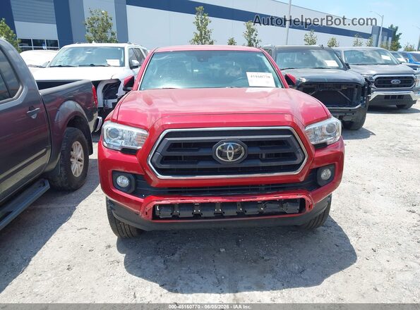 3TYAX5GN4PT090425 2023 TOYOTA TACOMA Красный 