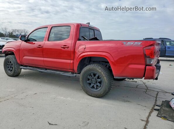 3TYCZ5AN4PT163224 2023 TOYOTA TACOMA Red Հետևի ձախ